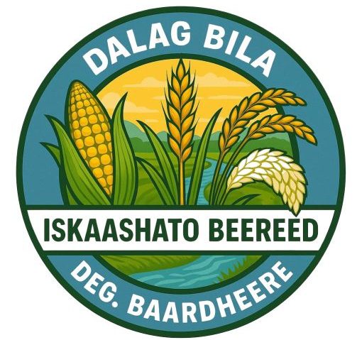 dalagbila